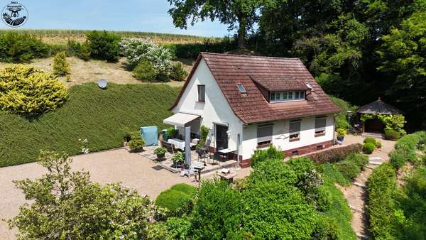 Haus mit Terrasse Haus mit Terrasse - Einfamilienhaus in 35119 Rosenthal mit 120m² kaufen