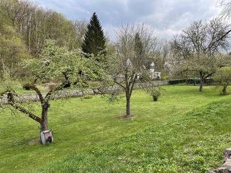 IMG_5081 - Grundstück in 35104 Lichtenfels mit 1285m² kaufen