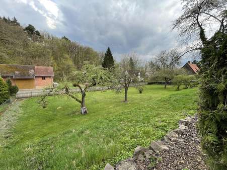 IMG_5082 - Grundstück in 35104 Lichtenfels mit 1285m² kaufen
