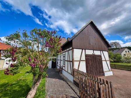Ansicht Eingang - Einfamilienhaus in 34519 Diemelsee mit 120m² kaufen