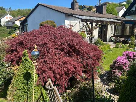 Ansicht aus dem Garten - Einfamilienhaus in 36179 Bebra mit 104m² kaufen
