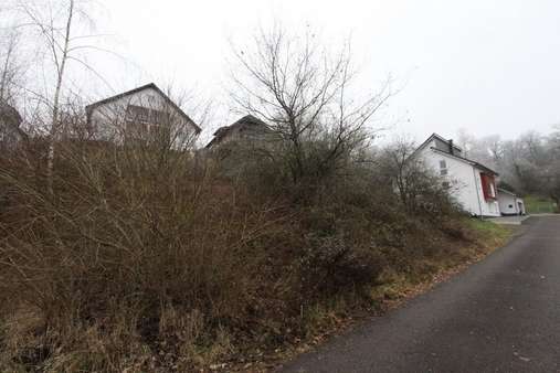 Baugrundstück Baugrundstück - Grundstück in 66869 Kusel mit 703m² kaufen