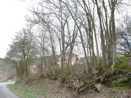 Baugrundstück - Grundstück in 67752 Rutsweiler mit 1437m² kaufen