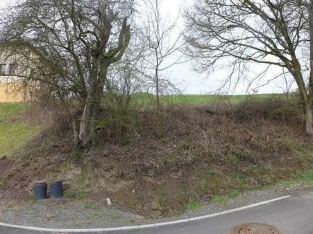 Baugrundstück Baugrundstück - Grundstück in 67752 Rutsweiler mit 1437m² kaufen