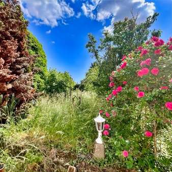 Garten - Einfamilienhaus in 67373 Dudenhofen mit 123m² kaufen