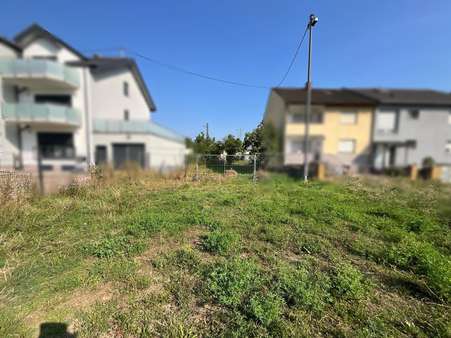 Gesamtansicht - Grundstück in 67065 Ludwigshafen mit 690m² kaufen