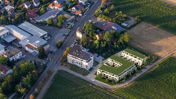 null - Reihenmittelhaus in 76829 Landau mit 168m² kaufen