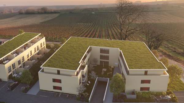 null - Reihenmittelhaus in 76829 Landau mit 168m² kaufen
