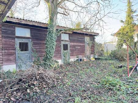 null - Grundstück in 67259 Großniedesheim mit 1080m² kaufen