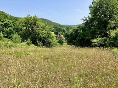 Grundstück in 67316 Carlsberg mit 632m² kaufen