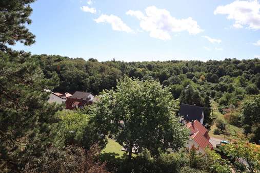Einfamilienhaus in 67098 Bad Dürkheim mit 178m² kaufen
