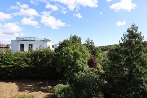 Grundstück in 67098 Bad Dürkheim mit 2048m² kaufen