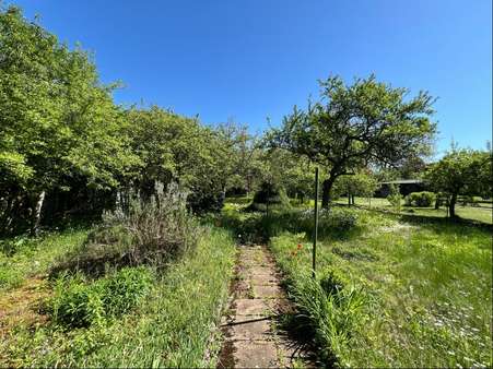 Garten - Einfamilienhaus in 76829 Landau mit 127m² kaufen