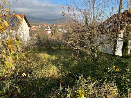 von oben - Grundstück in 76829 Ranschbach mit 545m² kaufen