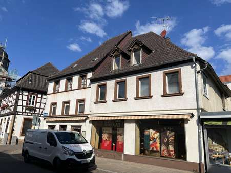 Ansicht Straßenseite - Mehrfamilienhaus in 76887 Bad Bergzabern mit 350m² kaufen