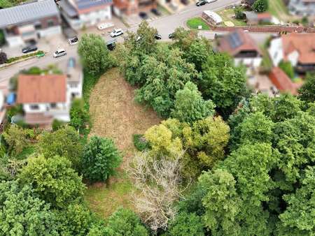 Blick von Süden Blick von Süden - Grundstück in 76857 Silz mit 1096m² kaufen