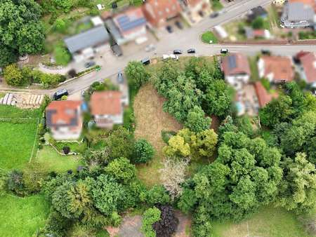 Draufblick Draufblick - Grundstück in 76857 Silz mit 1096m² kaufen