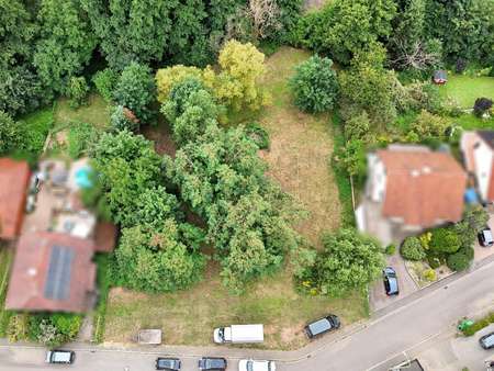 Blick von Norden - Grundstück in 76857 Silz mit 1172m² kaufen