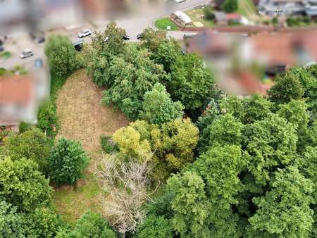 Blick von Süden - Grundstück in 76857 Silz mit 1172m² kaufen