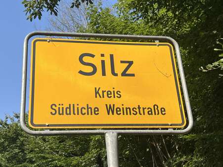 Silz, Südliche Weinstraße - Grundstück in 76857 Silz mit 1172m² kaufen