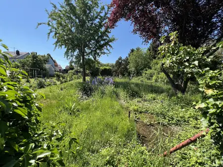 Freistehendes Einfamilienhaus
mit großem Grundstück in ruhiger Lage