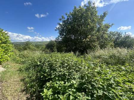 null - Grundstück in 55270 Bubenheim mit 767m² kaufen