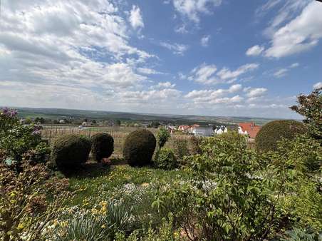 Garten und Ausblick - Einfamilienhaus in 55268 Nieder-Olm mit 252m² kaufen