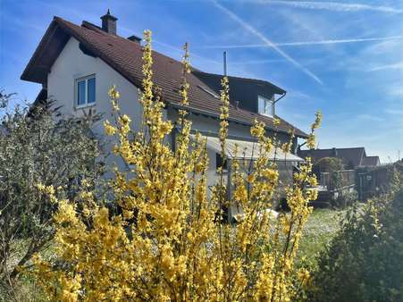 Gartenansicht m. Terrasse - Doppelhaushälfte in 55599 Siefersheim mit 180m² kaufen