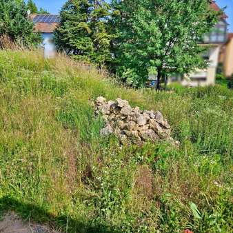 Baugrundstück Baugrundstück - Grundstück in 67308 Albisheim mit 686m² kaufen