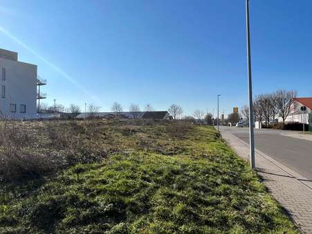 Außenansicht 1 Außenansicht 1 - Grundstück in 67590 Monsheim mit 2872m² kaufen