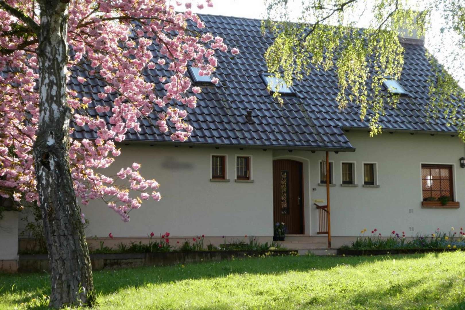 Ansicht - Einfamilienhaus in 55583 Bad Kreuznach mit 141m² kaufen