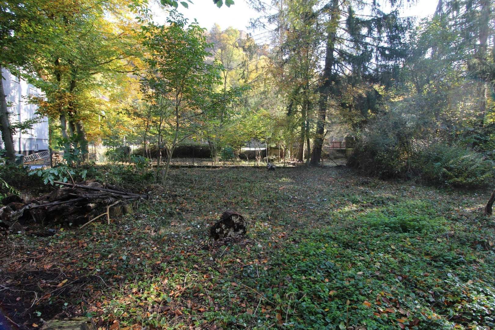 Grundstück - Grundstück in 55585 Altenbamberg mit 640m² kaufen