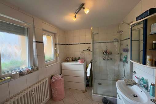 Erdgeschoss Duschbad - Mehrfamilienhaus in 55411 Bingen mit 248m² kaufen