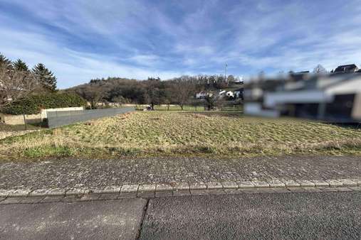 Ansicht - Grundstück in 55568 Staudernheim mit 1367m² kaufen