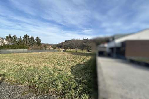 Ansicht - Grundstück in 55568 Staudernheim mit 1367m² kaufen