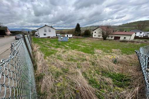 Strassenansicht - Grundstück in 55459 Aspisheim mit 781m² kaufen