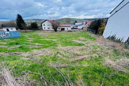 Strassenansicht - Grundstück in 55459 Aspisheim mit 781m² kaufen