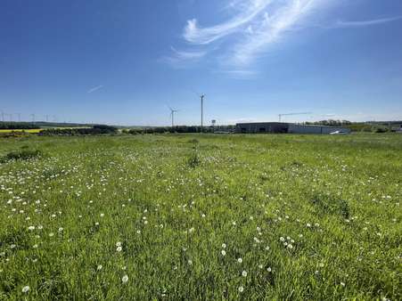 Grundstück in 56288 Roth mit 3151m² kaufen