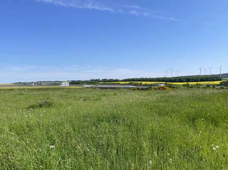 null - Grundstück in 56288 Roth mit 1884m² kaufen