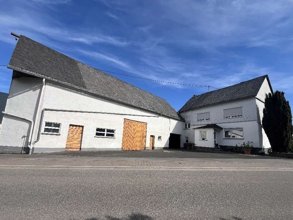 null - Einfamilienhaus in 56288 Zilshausen mit 160m² kaufen