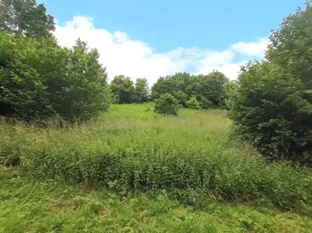 Schönes Baugrundstück mit Blick ins Grüne