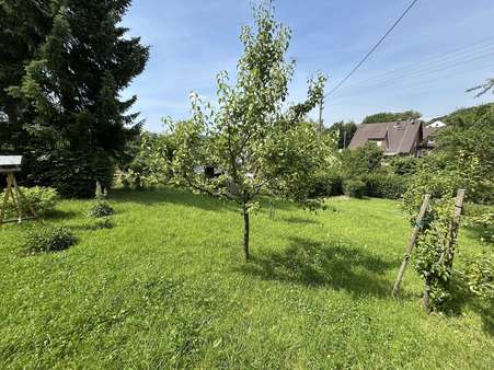 Garten Garten - Einfamilienhaus in 57636 Sörth mit 157m² kaufen