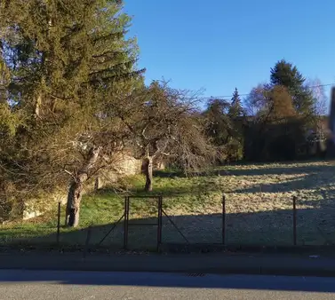 Sonniges Baugrundstück in zentraler Lage