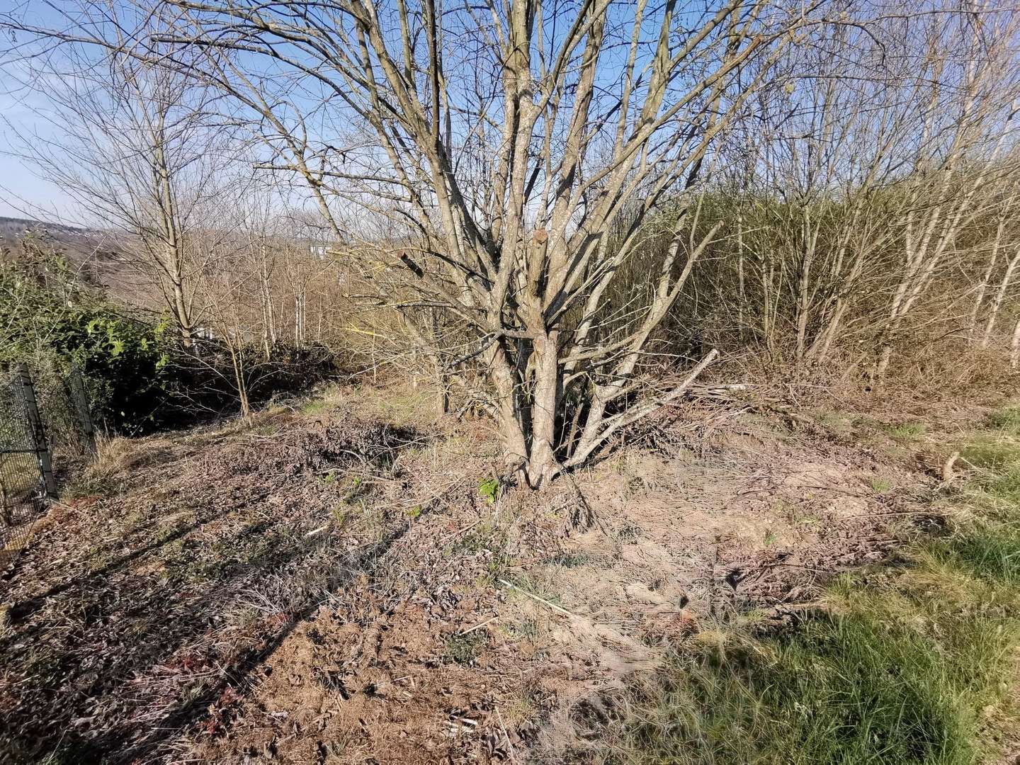 Bild1 - Grundstück in 57539 Roth mit 2288m² kaufen