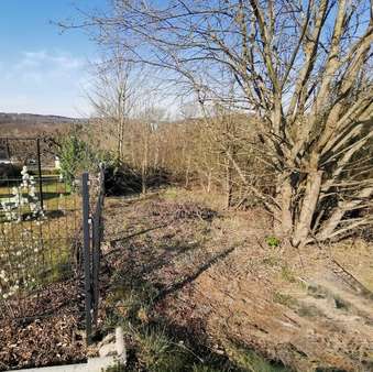Bild2 - Grundstück in 57539 Roth mit 2288m² kaufen