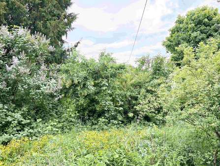 Garten - Einfamilienhaus in 56727 Mayen mit 100m² kaufen