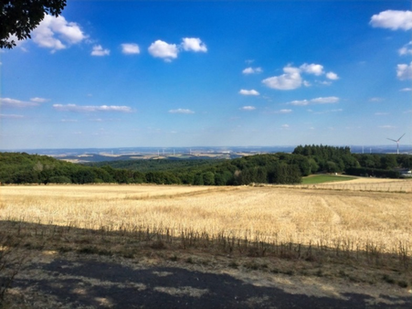 null - Grundstück in 56727 Mayen mit 400m² kaufen