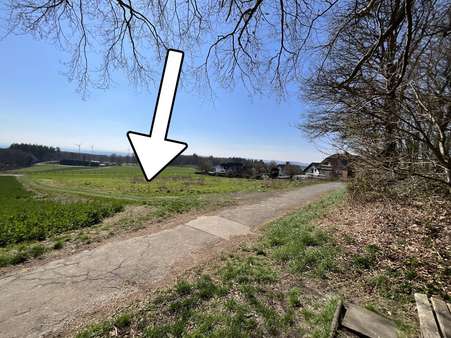 null - Grundstück in 56727 Mayen mit 400m² kaufen