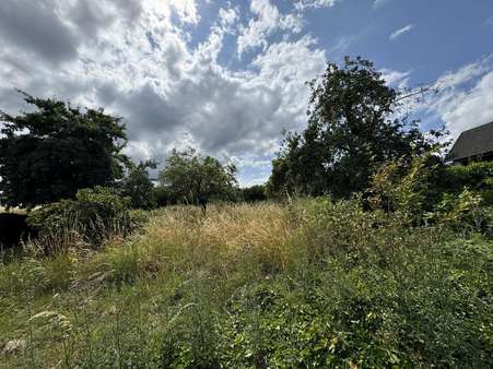 Grundstücksansicht - Grundstück in 56759 Eppenberg mit 3423m² kaufen
