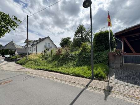 Grundstücksansicht - Grundstück in 56759 Eppenberg mit 3423m² kaufen